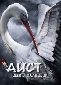 Обложка книги «Аист»