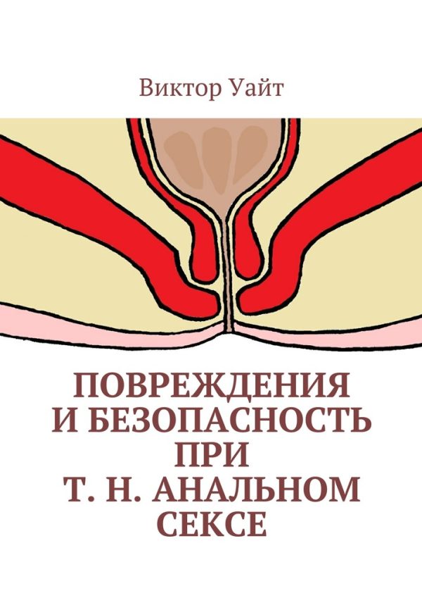 Обложка книги «Повреждения и безопасность при т. н. анальном сексе»