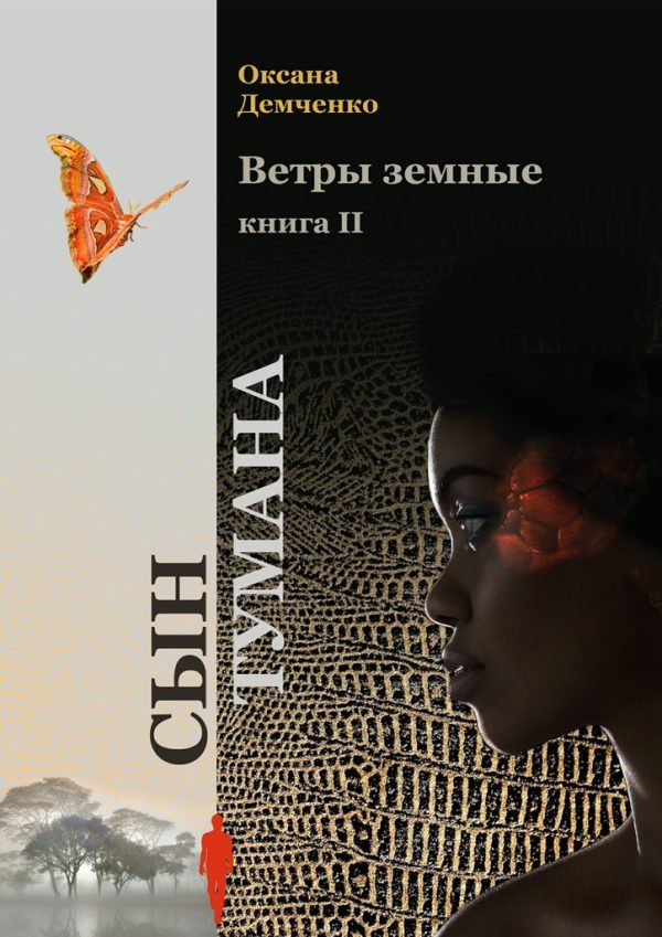 Обложка книги «Сын тумана»