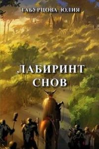 Обложка книги «Лабиринт снов»