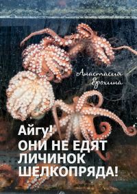 Обложка книги «Айгу! Они не едят личинок шелкопряда!»