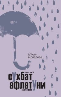 Обложка книги «Дождь в разрезе»