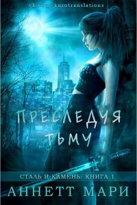 Обложка книги «Преследуя тьму»
