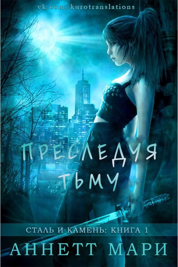 Обложка книги «Преследуя тьму»