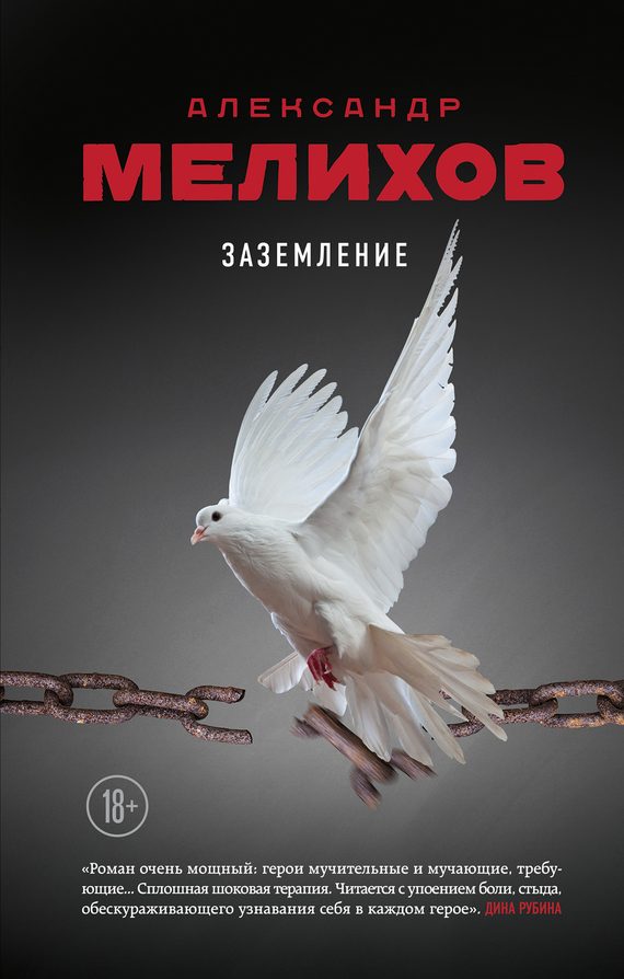 Обложка книги «Заземление»