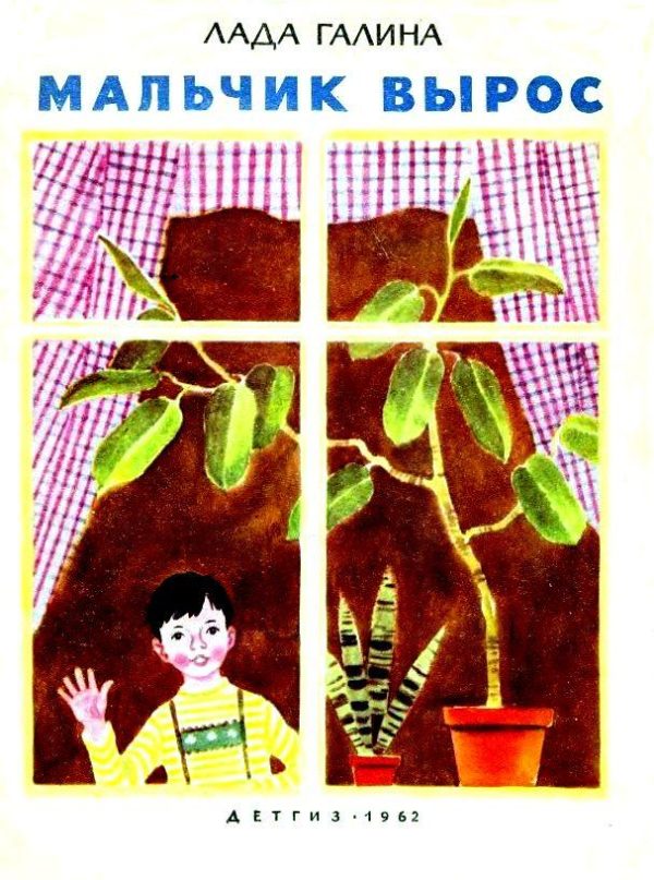 Обложка книги «Мальчик вырос»