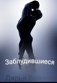Обложка книги «Заблудившиеся»