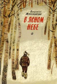 Обложка книги «В ясном небе»