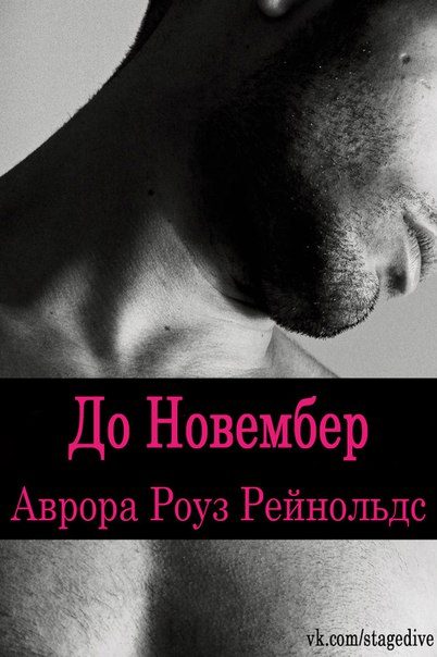 Обложка книги «До Новембер»