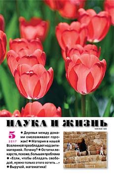 Обложка книги «Свой мир»