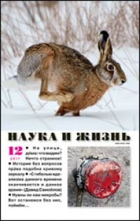 Обложка книги «Один в поле»
