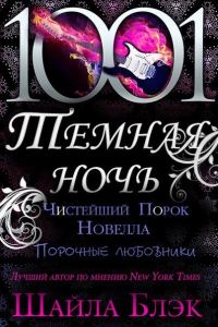 Обложка книги «Чистейший порок»