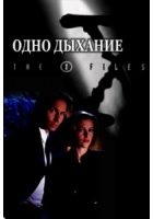 Обложка книги «Одно дыхание. Файл № 208»