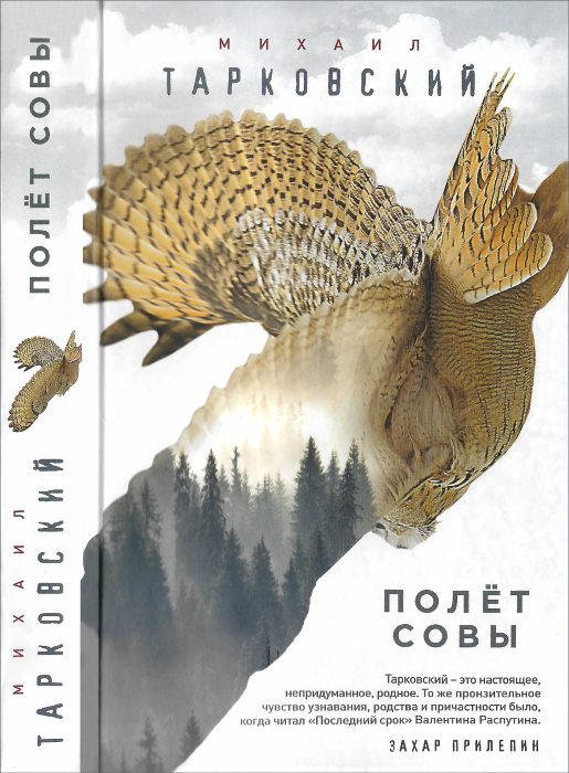 Обложка книги «Полёт совы»