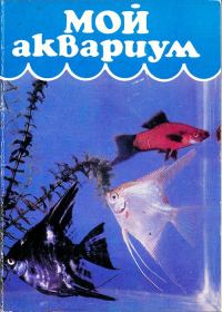 Обложка книги «Мой аквариум»
