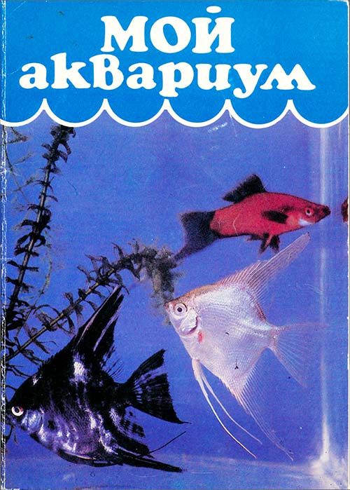 Обложка книги «Мой аквариум»