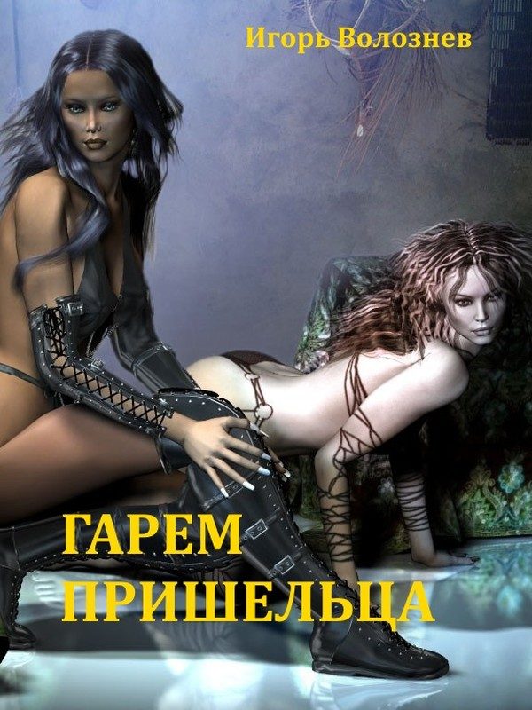 Обложка книги «Гарем Пришельца»