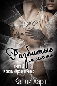 Обложка книги «Разбитые на осколки»