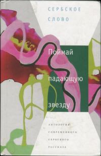 Обложка книги «Поймай падающую звезду»