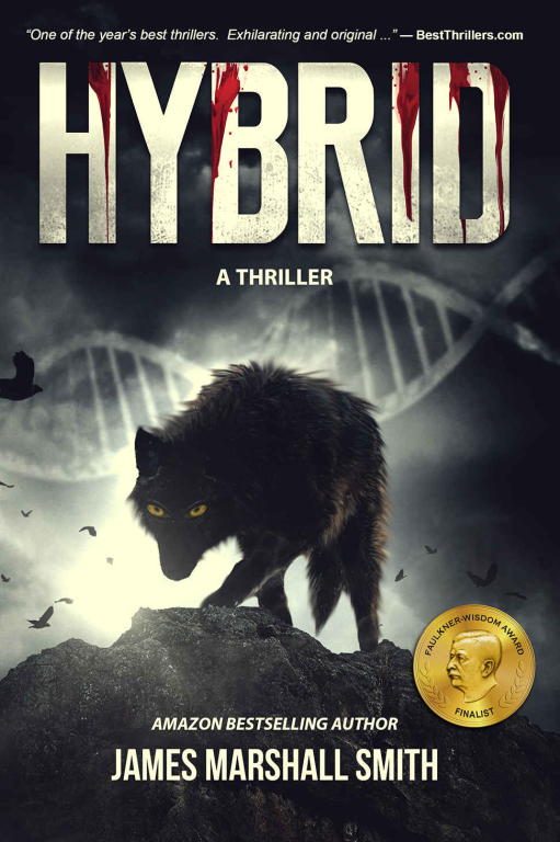 Обложка книги «Hybrid»