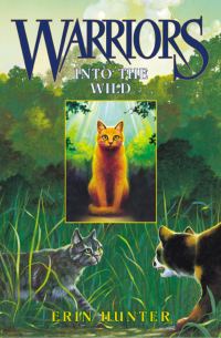 Обложка книги «Into The Wild»