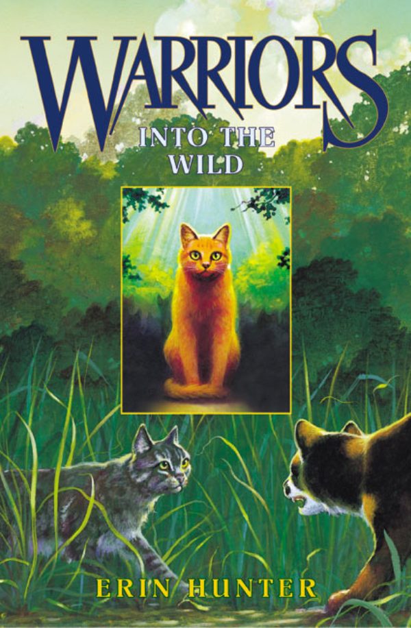 Обложка книги «Into The Wild»