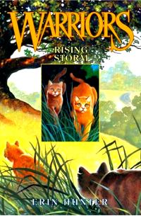 Обложка книги «Rising Storm»