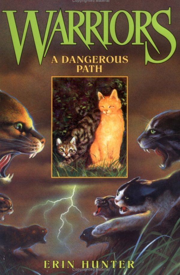 Обложка книги «A Dangerous Path»