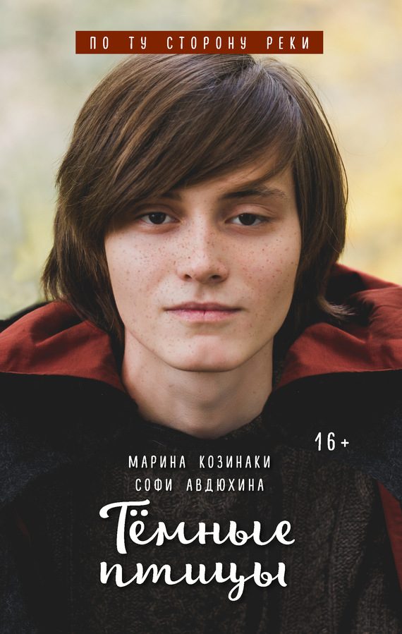 Обложка книги «Тёмные птицы»