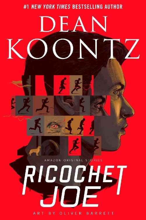 Обложка книги «Ricochet Joe»