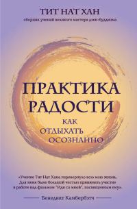 Обложка книги «Практика радости. Как отдыхать осознанно»