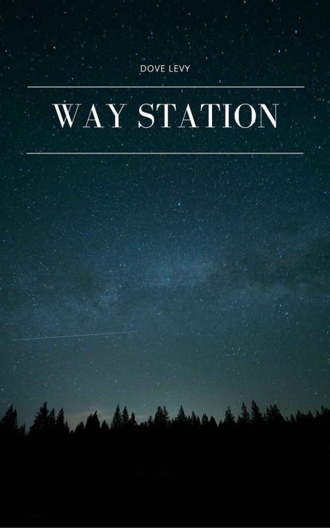 Обложка книги «Way Station»