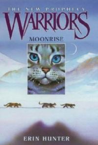 Обложка книги «Moonrise»