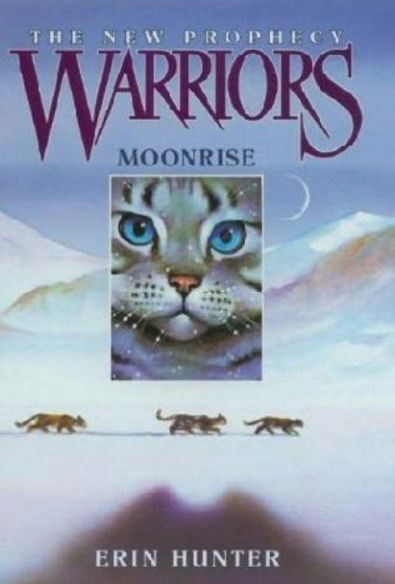 Обложка книги «Moonrise»