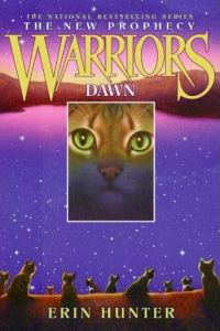Обложка книги «Dawn»