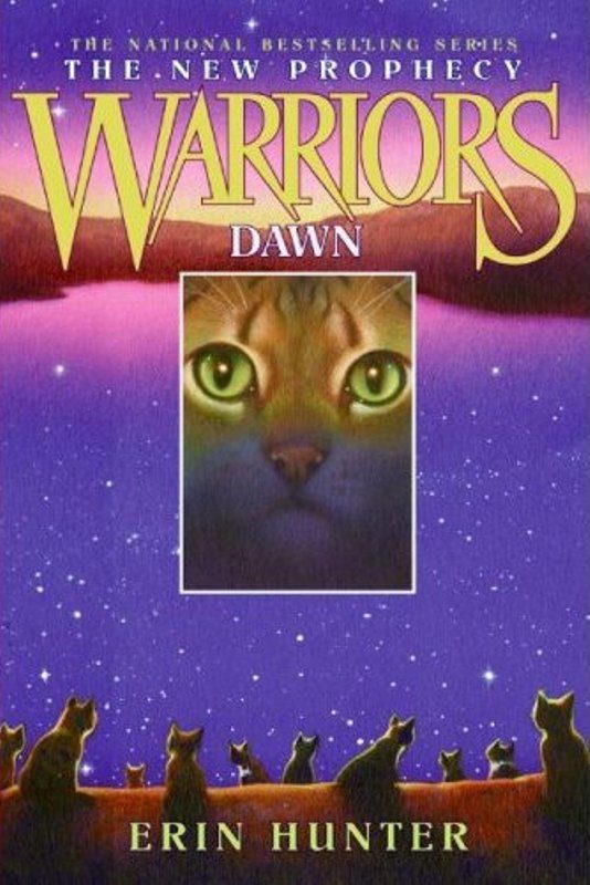 Обложка книги «Dawn»