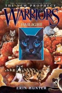 Обложка книги «Twilight»