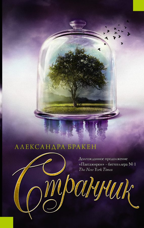 Обложка книги «Странник»