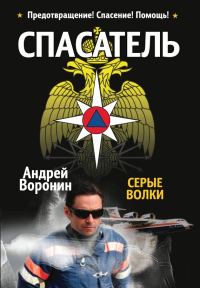 Обложка книги «Серые волки»