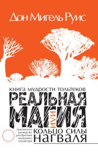 Обложка книги «Книга мудрости тольтеков. Реальная магия, или Кольцо силы нагваля. Практическое руководство по обретению внутреннего покоя»