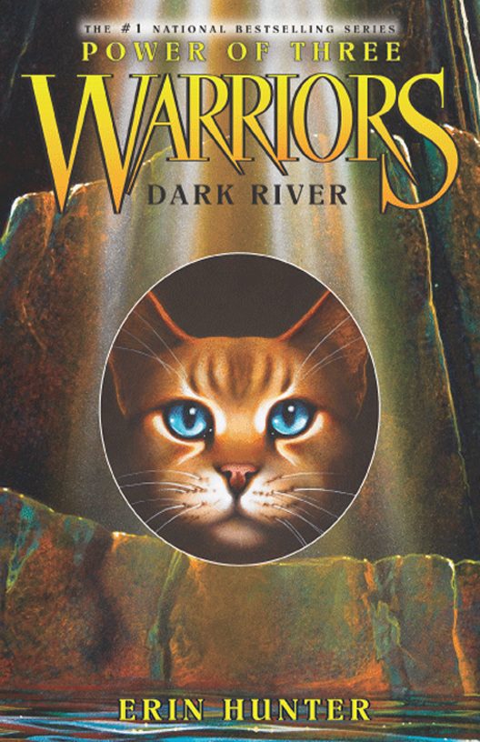 Обложка книги «Dark River»