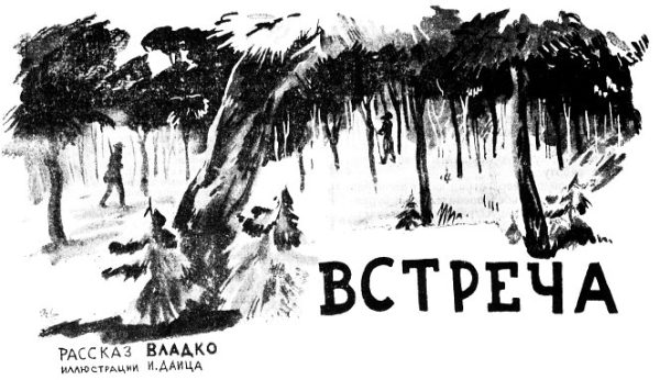 Обложка книги «Встреча»