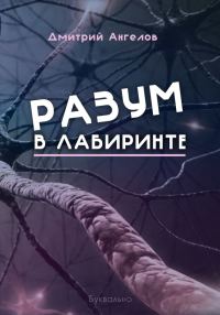 Обложка книги «Разум в лабиринте»