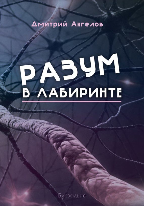 Обложка книги «Разум в лабиринте»