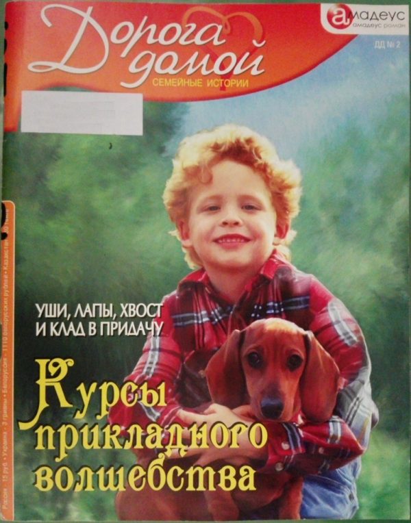 Обложка книги «Курсы прикладного волшебства: уши, лапы, хвост и клад в придачу»