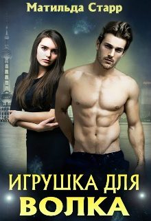 Обложка книги «Игрушка для волка»