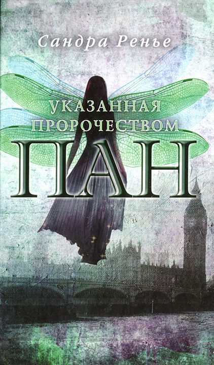 Обложка книги «Указанная пророчеством»