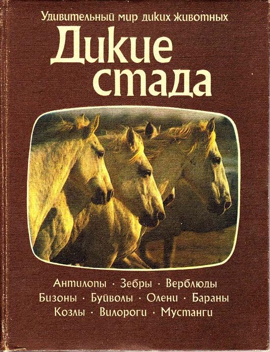 Обложка книги «Дикие стада»