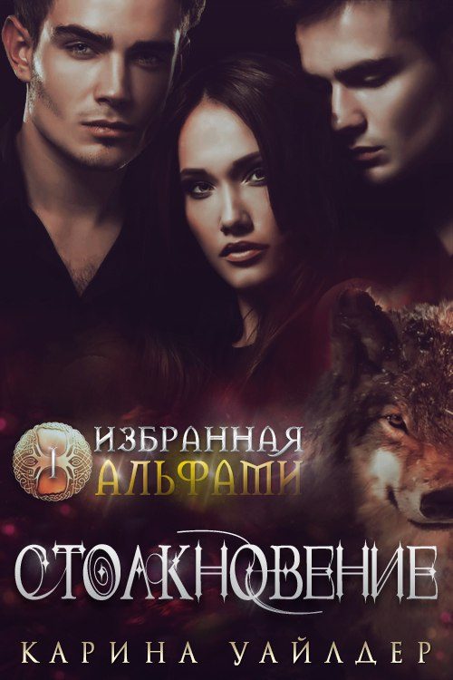 Обложка книги «Столкновение»