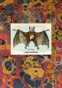Обложка книги «Infernaliana или Анекдоты, маленькие повести, рассказы и сказки о блуждающих мертвецах, призраках, демонах и вампирах»